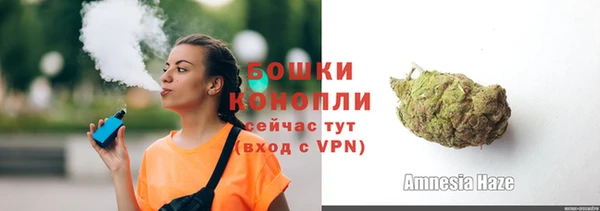 ГАЛЛЮЦИНОГЕННЫЕ ГРИБЫ Абаза