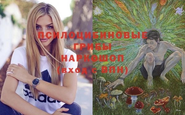 ГАЛЛЮЦИНОГЕННЫЕ ГРИБЫ Абаза