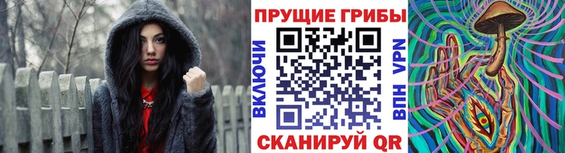 Галлюциногенные грибы MAGIC MUSHROOMS где продают наркотики Краснозаводск